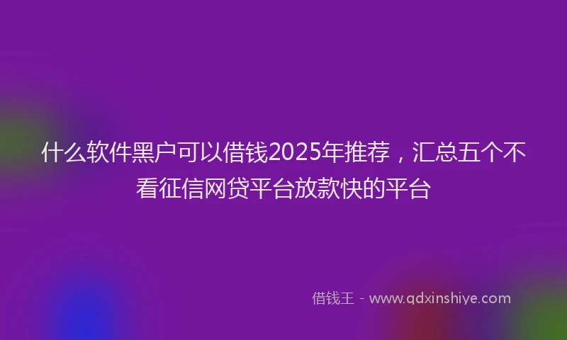 什么软件黑户可以借钱2025年推荐，汇总五个不看征信网贷平台放款快的平台
