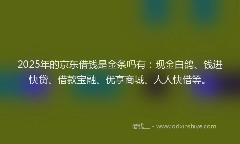 2025年的京东借钱是金条吗有：现金白鸽、钱进快贷、借款宝融、优享商城、人人快借等。
