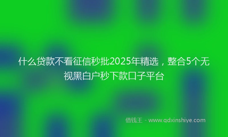 什么贷款不看征信秒批2025年精选，整合5个无视黑白户秒下款口子平台