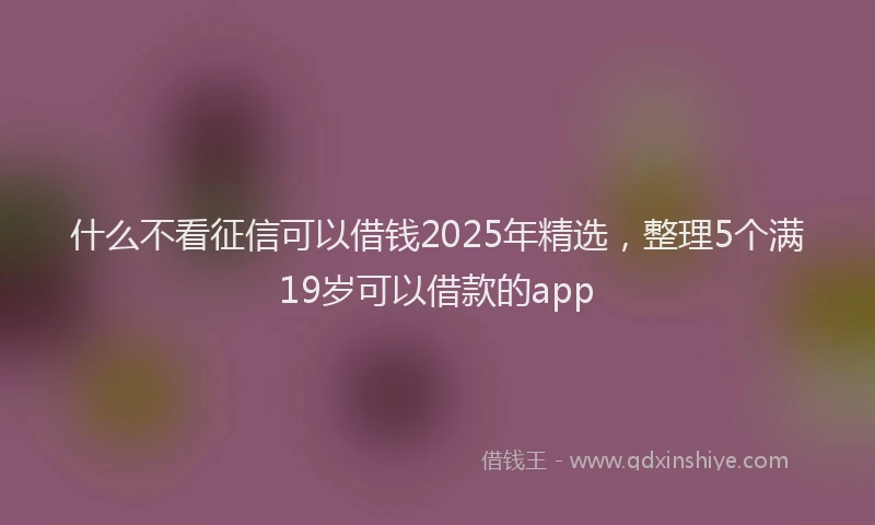 什么不看征信可以借钱2025年精选，整理5个满19岁可以借款的app