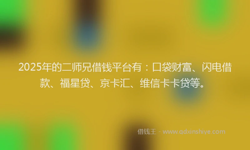 2025年的二师兄借钱平台有：口袋财富、闪电借款、福星贷、京卡汇、维信卡卡贷等。