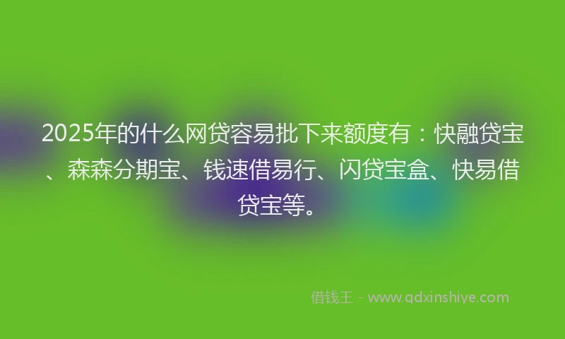 2025年的什么网贷容易批下来额度有：快融贷宝、森森分期宝、钱速借易行、闪贷宝盒、快易借贷宝等。