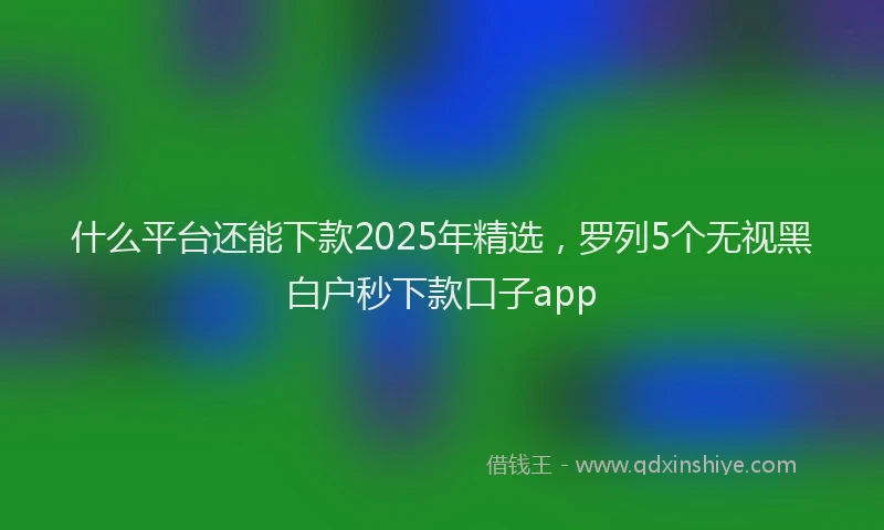 什么平台还能下款2025年精选，罗列5个无视黑白户秒下款口子app