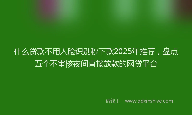 什么贷款不用人脸识别秒下款2025年推荐，盘点五个不审核夜间直接放款的网贷平台