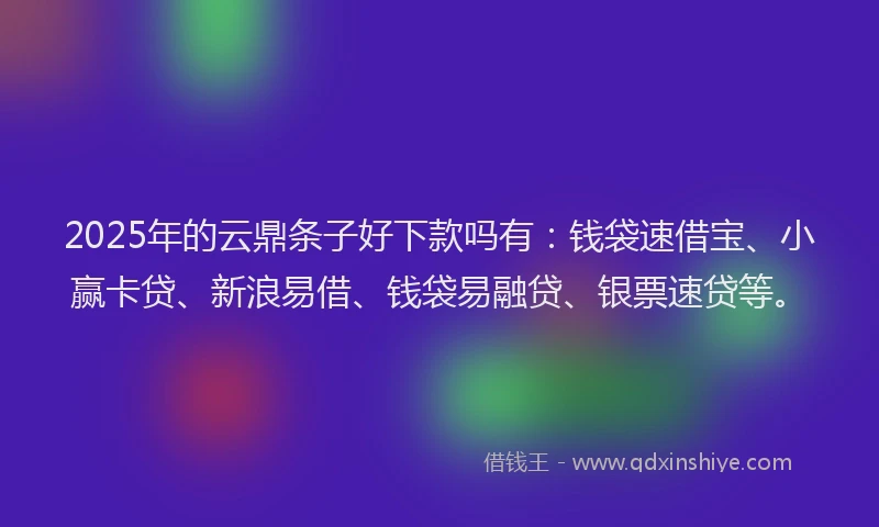 2025年的云鼎条子好下款吗有：钱袋速借宝、小赢卡贷、新浪易借、钱袋易融贷、银票速贷等。