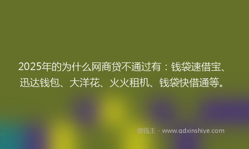 2025年的为什么网商贷不通过有：钱袋速借宝、迅达钱包、大洋花、火火租机、钱袋快借通等。