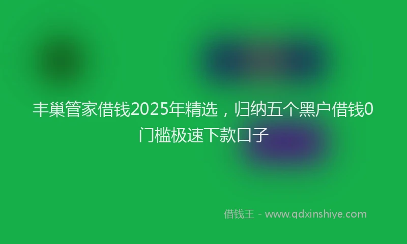 丰巢管家借钱2025年精选，归纳五个黑户借钱0门槛极速下款口子