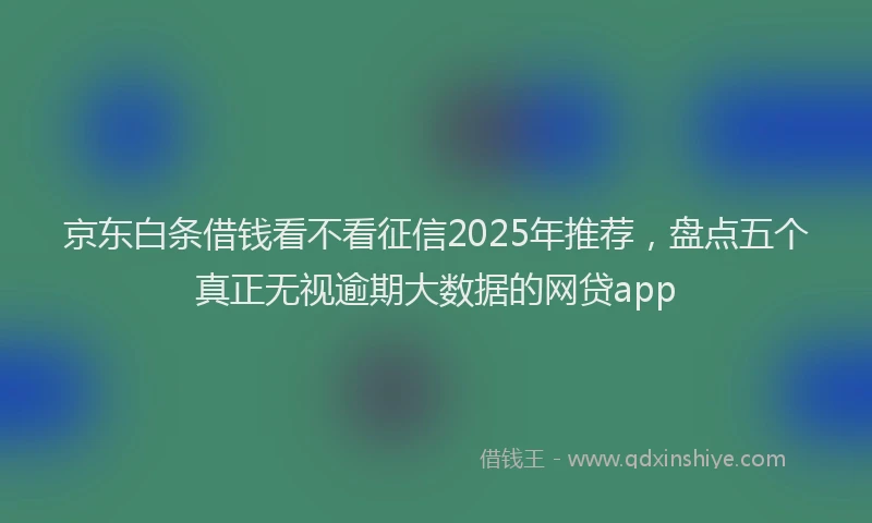 京东白条借钱看不看征信2025年推荐，盘点五个真正无视逾期大数据的网贷app