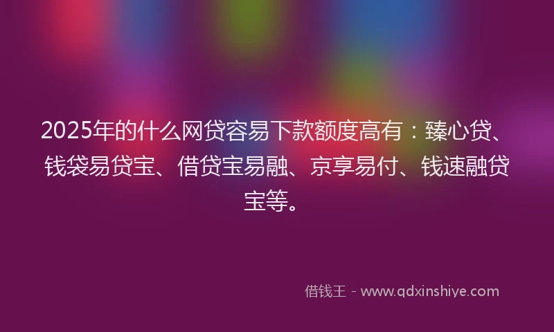 2025年的什么网贷容易下款额度高有:臻心贷、钱袋易贷宝、借贷宝易融、京享易付、钱速融贷宝等。