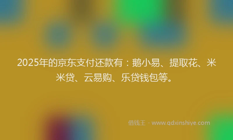 2025年的京东支付还款有：鹅小易、提取花、米米贷、云易购、乐贷钱包等。