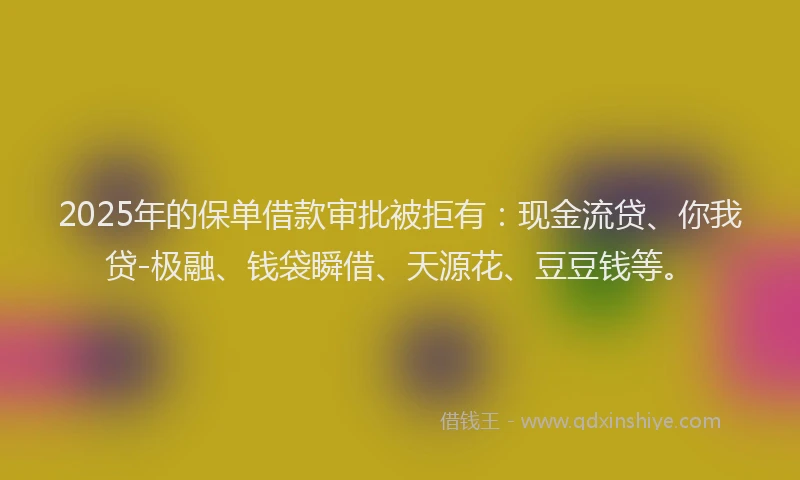 2025年的保单借款审批被拒有：现金流贷、你我贷-极融、钱袋瞬借、天源花、豆豆钱等。