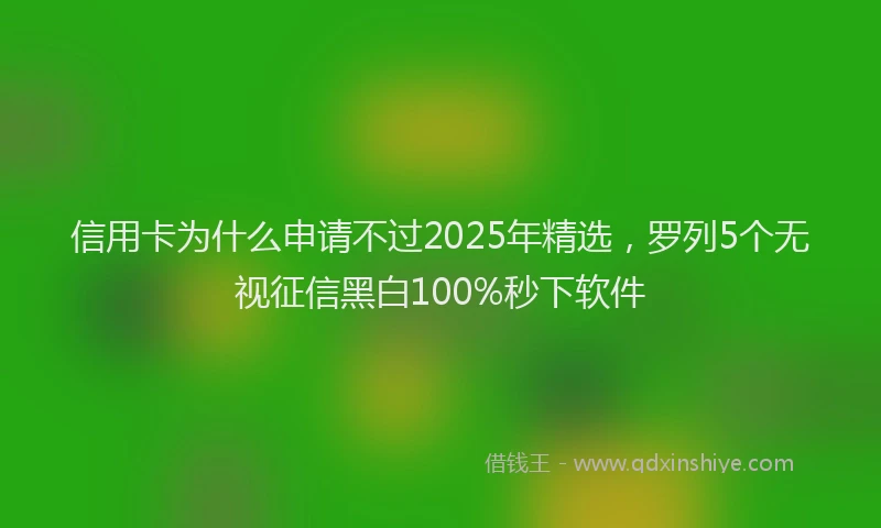 信用卡为什么申请不过2025年精选，罗列5个无视征信黑白100%秒下软件