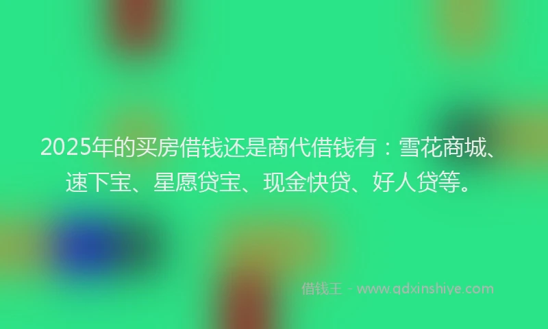 2025年的买房借钱还是商代借钱有：雪花商城、速下宝、星愿贷宝、现金快贷、好人贷等。