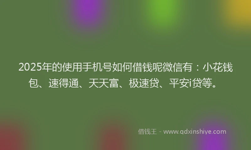 2025年的使用手机号如何借钱呢微信有：小花钱包、速得通、天天富、极速贷、平安i贷等。