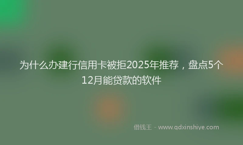为什么办建行信用卡被拒2025年推荐，盘点5个12月能贷款的软件