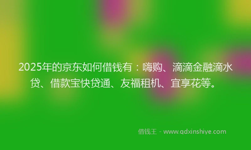 2025年的京东如何借钱有：嗨购、滴滴金融滴水贷、借款宝快贷通、友福租机、宜享花等。