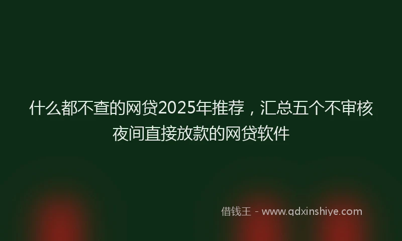什么都不查的网贷2025年推荐，汇总五个不审核夜间直接放款的网贷软件