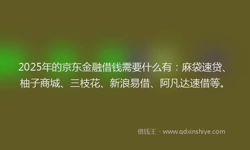 2025年的京东金融借钱需要什么有：麻袋速贷、柚子商城、三枝花、新浪易借、阿凡达速借等。
