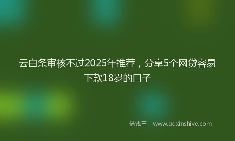 云白条审核不过2025年推荐，分享5个网贷容易下款18岁的口子