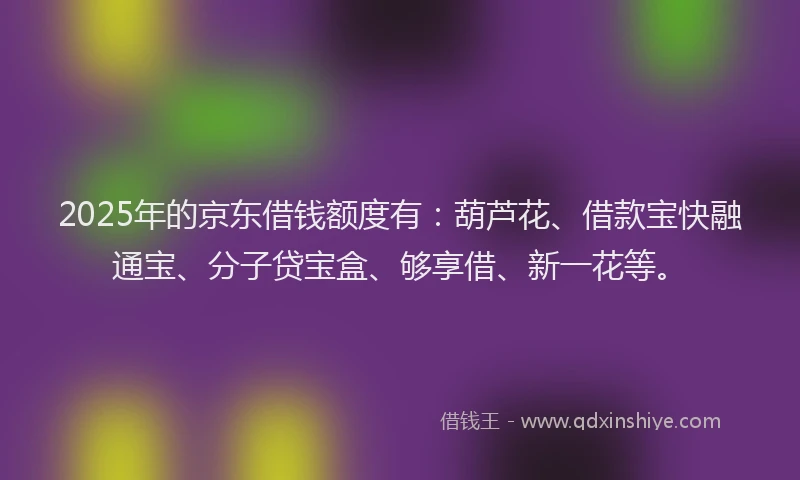 2025年的京东借钱额度有：葫芦花、借款宝快融通宝、分子贷宝盒、够享借、新一花等。