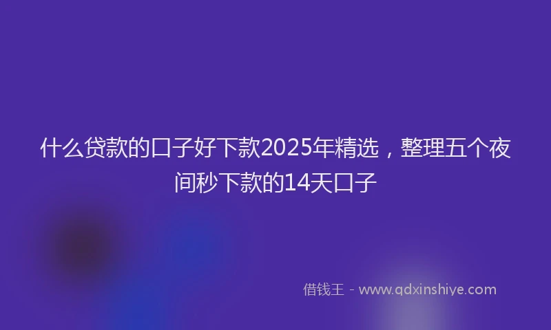 什么贷款的口子好下款2025年精选，整理五个夜间秒下款的14天口子