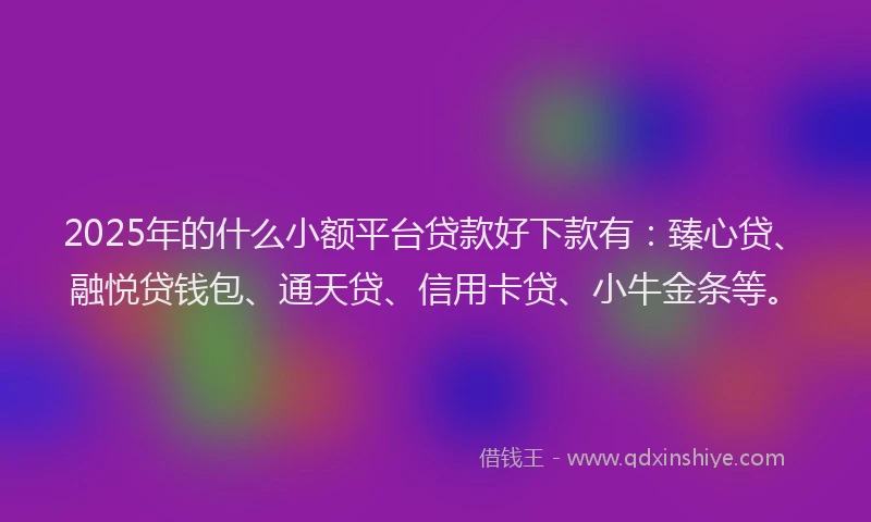 2025年的什么小额平台贷款好下款有：臻心贷、融悦贷钱包、通天贷、信用卡贷、小牛金条等。