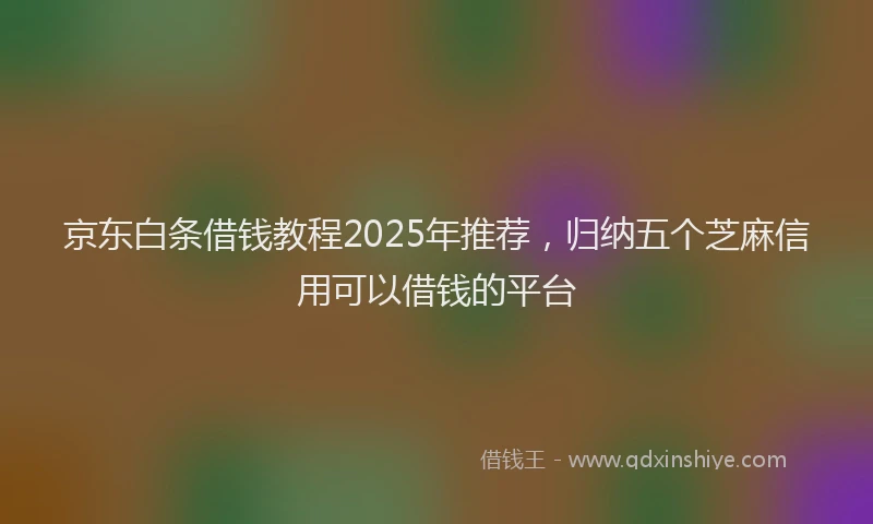 京东白条借钱教程2025年推荐，归纳五个芝麻信用可以借钱的平台
