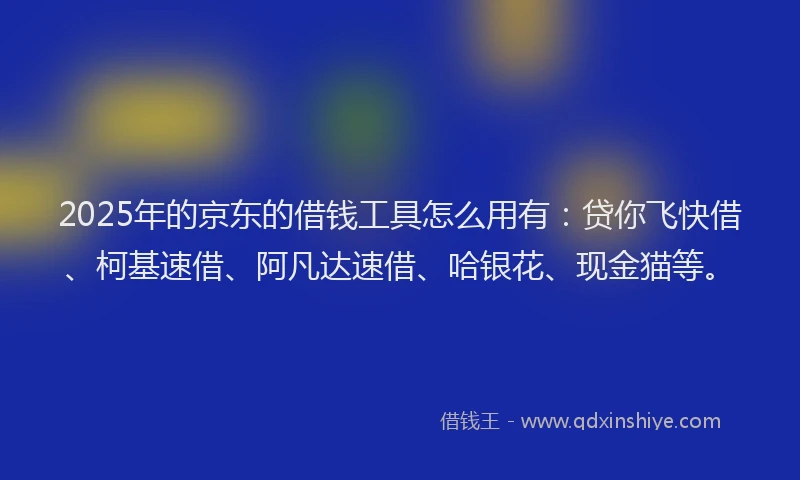 2025年的京东的借钱工具怎么用有：贷你飞快借、柯基速借、阿凡达速借、哈银花、现金猫等。