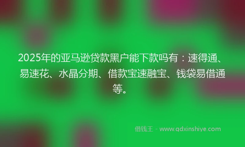 2025年的亚马逊贷款黑户能下款吗有：速得通、易速花、水晶分期、借款宝速融宝、钱袋易借通等。