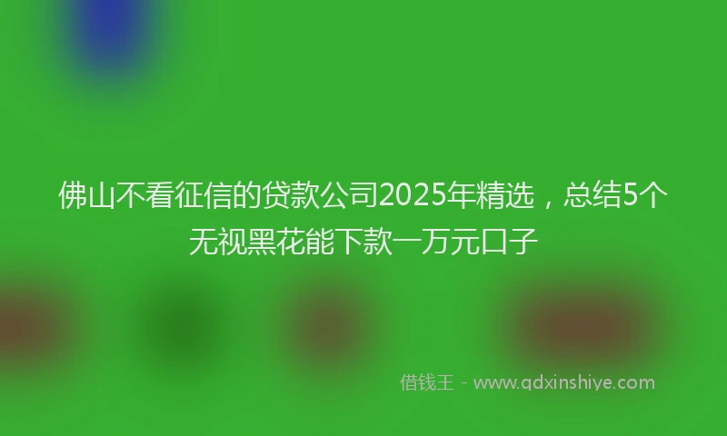佛山不看征信的贷款公司2025年精选，总结5个无视黑花能下款一万元口子