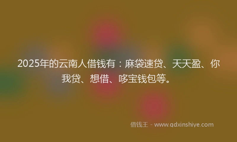 2025年的云南人借钱有：麻袋速贷、天天盈、你我贷、想借、哆宝钱包等。