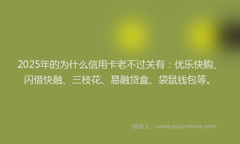 2025年的为什么信用卡老不过关有：优乐快购、闪借快融、三枝花、易融贷盒、袋鼠钱包等。