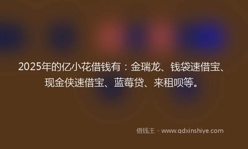2025年的亿小花借钱有：金瑞龙、钱袋速借宝、现金侠速借宝、蓝莓贷、来租呗等。
