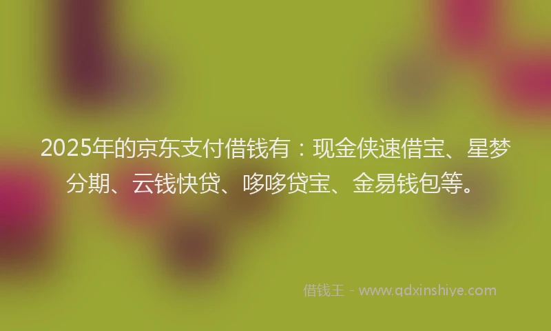 2025年的京东支付借钱有：现金侠速借宝、星梦分期、云钱快贷、哆哆贷宝、金易钱包等。