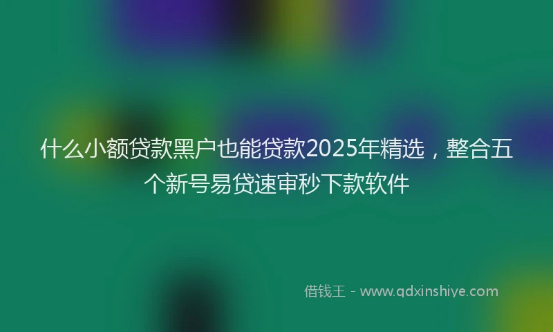 什么小额贷款黑户也能贷款2025年精选，整合五个新号易贷速审秒下款软件