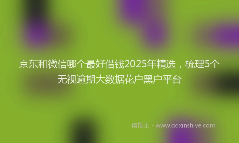 京东和微信哪个最好借钱2025年精选，梳理5个无视逾期大数据花户黑户平台