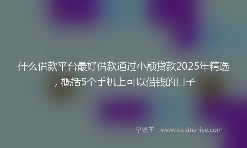 什么借款平台最好借款通过小额贷款2025年精选，概括5个手机上可以借钱的口子