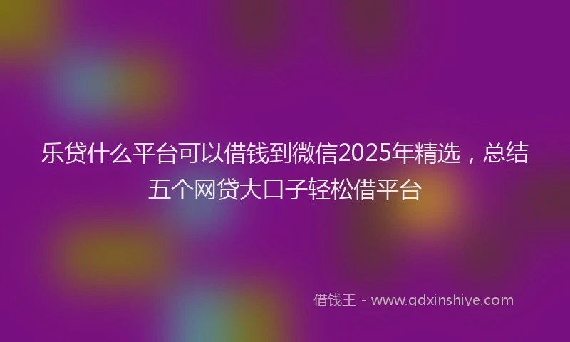 乐贷什么平台可以借钱到微信2025年精选，总结五个网贷大口子轻松借平台