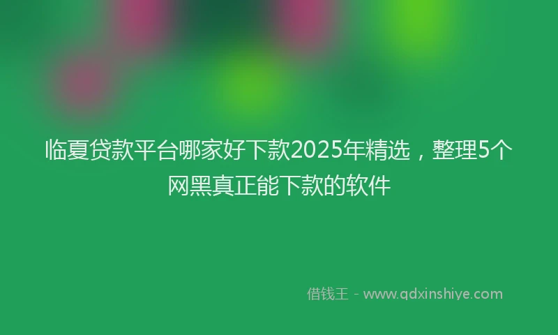 临夏贷款平台哪家好下款2025年精选，整理5个网黑真正能下款的软件