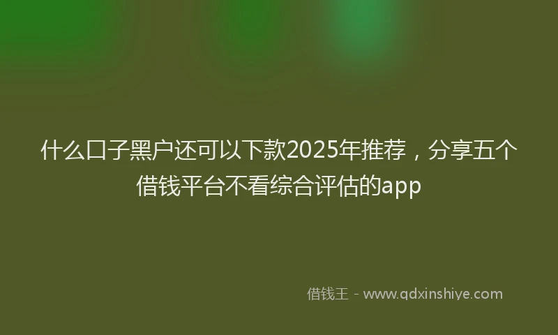 什么口子黑户还可以下款2025年推荐，分享五个借钱平台不看综合评估的app