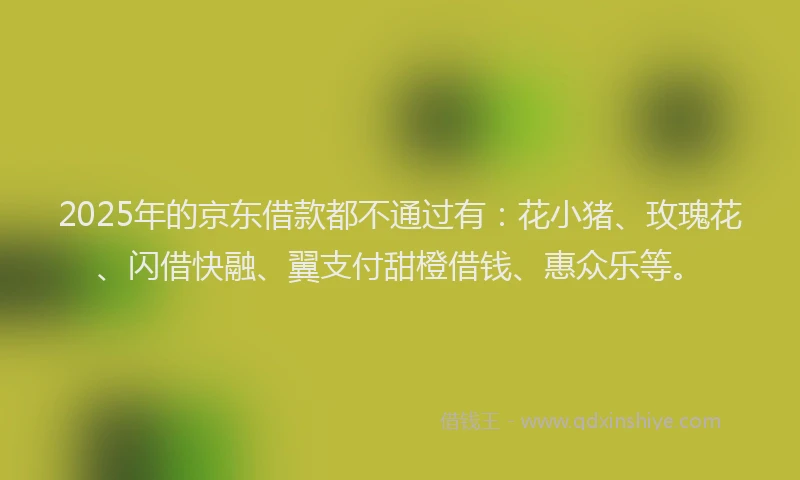 2025年的京东借款都不通过有:花小猪、玫瑰花、闪借快融、翼支付甜橙借钱、惠众乐等。
