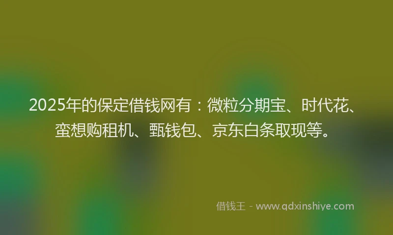 2025年的保定借钱网有：微粒分期宝、时代花、蛮想购租机、甄钱包、京东白条取现等。