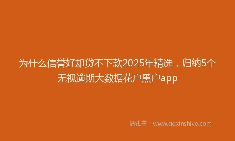 为什么信誉好却贷不下款2025年精选，归纳5个无视逾期大数据花户黑户app