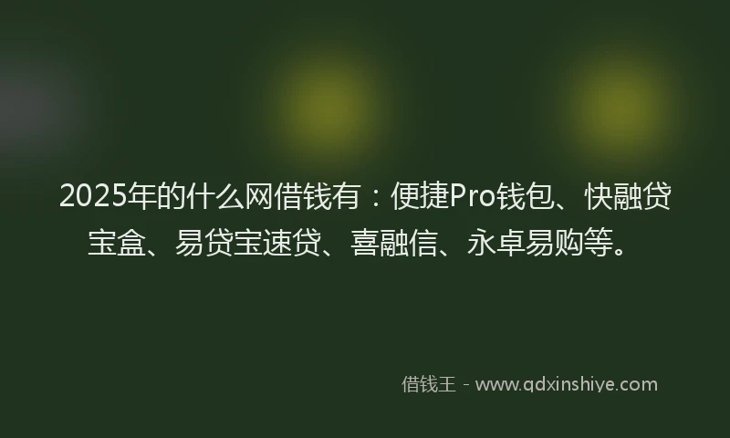 2025年的什么网借钱有:便捷Pro钱包、快融贷宝盒、易贷宝速贷、喜融信、永卓易购等。