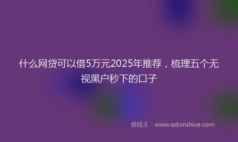 什么网贷可以借5万元2025年推荐，梳理五个无视黑户秒下的口子