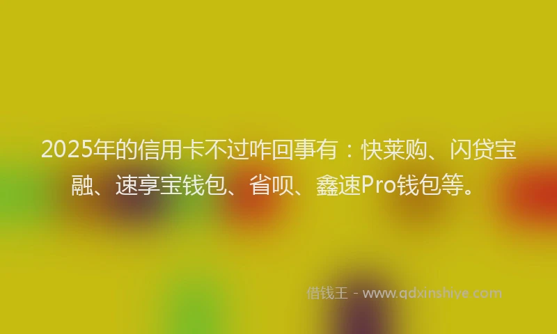 2025年的信用卡不过咋回事有：快莱购、闪贷宝融、速享宝钱包、省呗、鑫速Pro钱包等。
