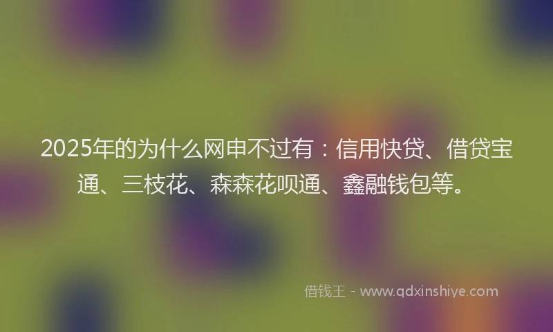 2025年的为什么网申不过有：信用快贷、借贷宝通、三枝花、森森花呗通、鑫融钱包等。