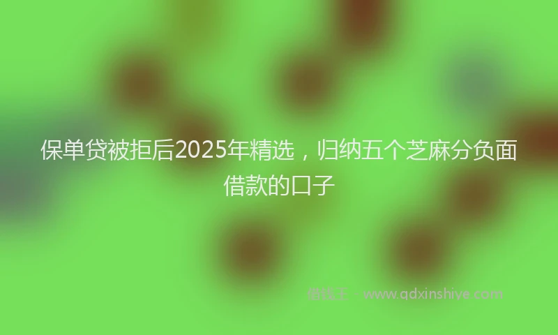 保单贷被拒后2025年精选，归纳五个芝麻分负面借款的口子