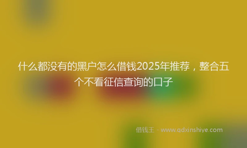 什么都没有的黑户怎么借钱2025年推荐，整合五个不看征信查询的口子