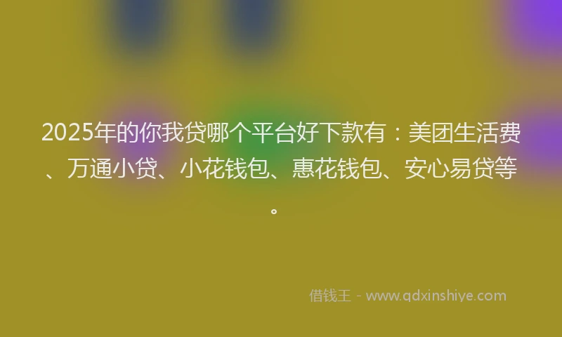 2025年的你我贷哪个平台好下款有：美团生活费、万通小贷、小花钱包、惠花钱包、安心易贷等。